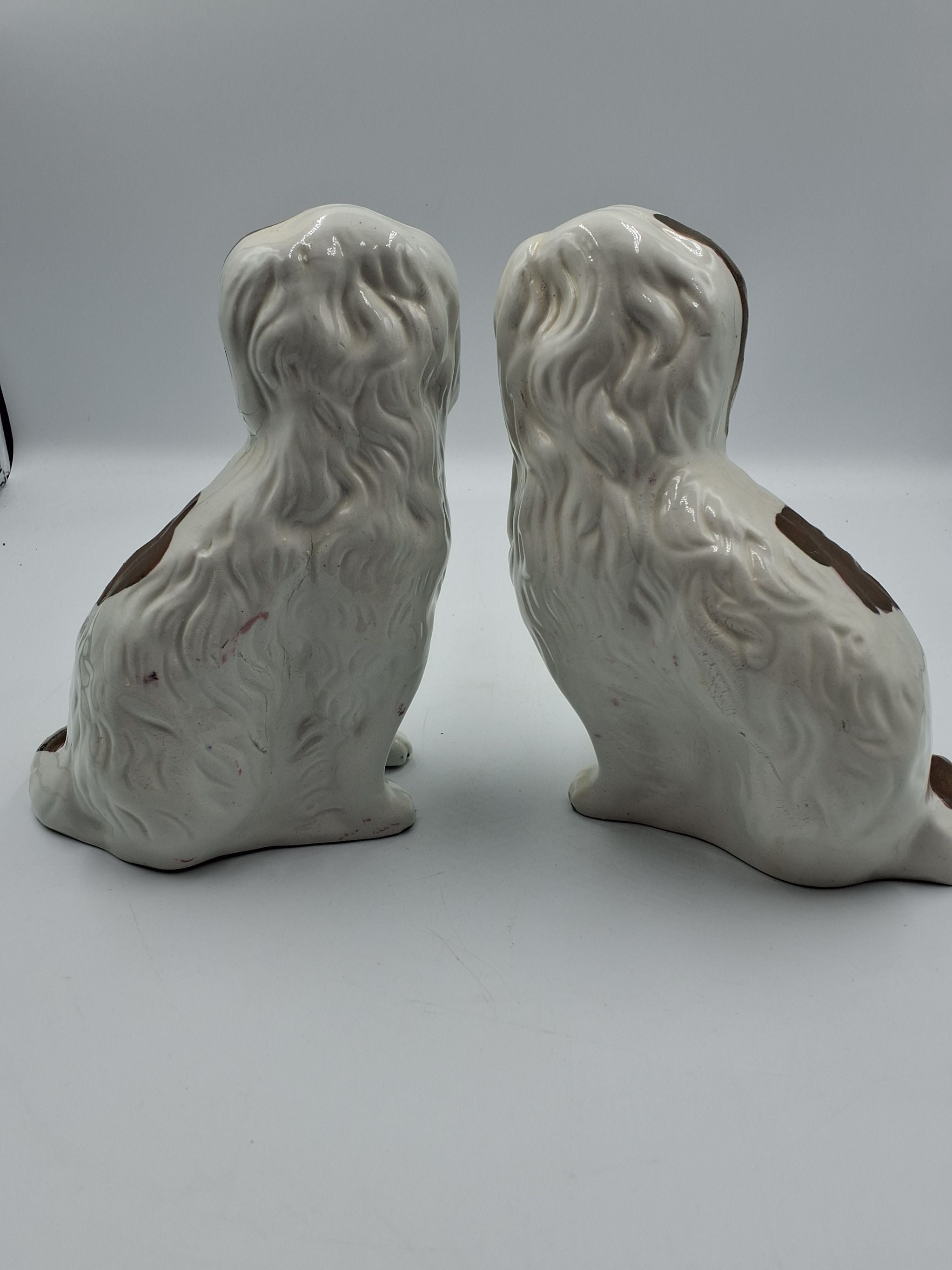 2 Straffordshire hunde